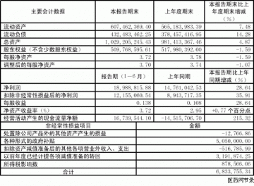 浙江康恩贝制药股份有限公司2005年半年度报告（节录）