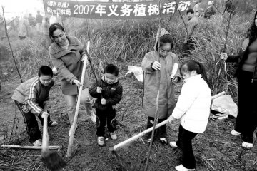 福州市民义务植树