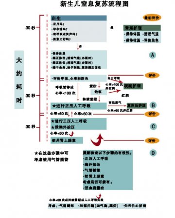 呵护生命第一口呼吸