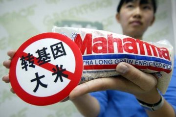 转基因的死结如何解