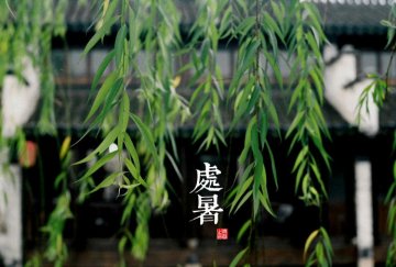 图说二十四节气 美到令人窒息