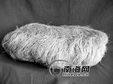 村民发现石头长满“白发” 专家称系无脊椎动物