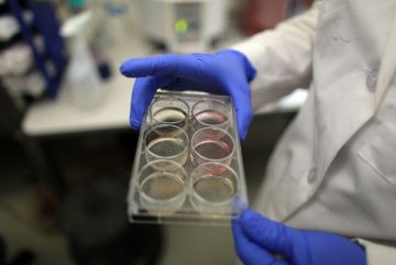奥巴马拟推动发展个性化医疗