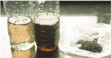 黑芝麻入水几分钟泡出“淡墨汁” 专家支招辨别