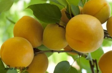 抗癌水果蔬菜前18强排行榜