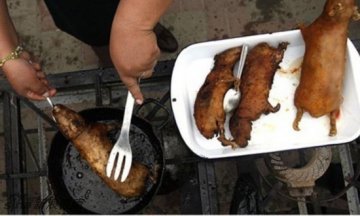 防癌神仙汤引争议 稀奇古怪食物盘点