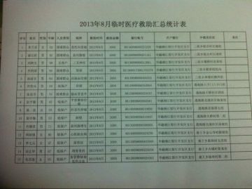 2013年8月临时医疗救助汇总统计表