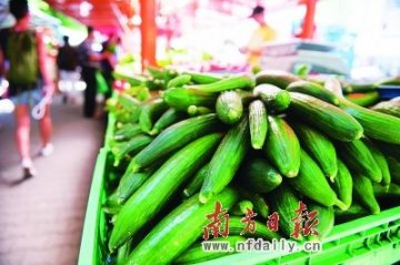欧洲肠出血性大肠杆菌疫情87%重症患者系成年人