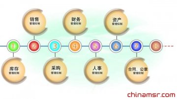 医药零售连锁企业内控体系的建立与完善