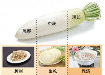 从头到尾吃萝卜