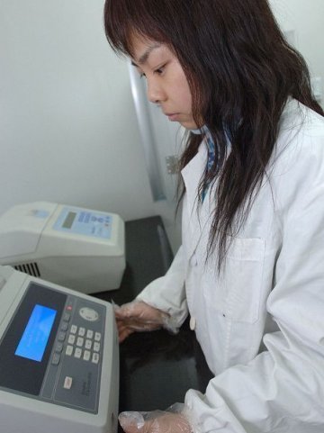 实拍：DNA亲子鉴定全过程