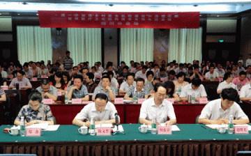 四川省参加全国进一步加强乡村医生队伍建设和清理化解基层医疗卫生机构债务电视电话会议