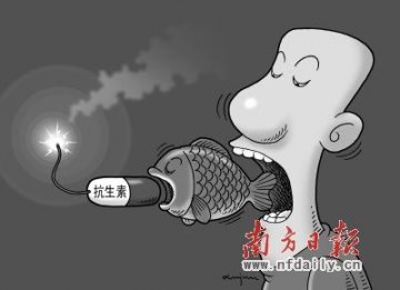 养殖业滥用抗生素：鸡猪鱼