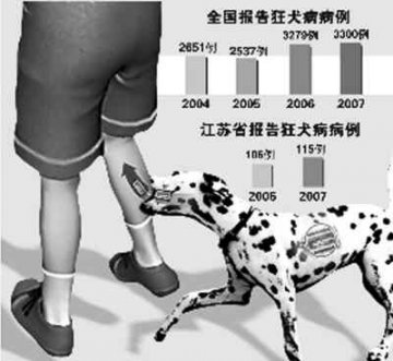 天天搂着狗睡觉警惕得狂犬病