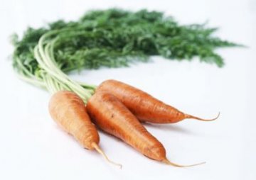 10种能防癌症的“超级”食物