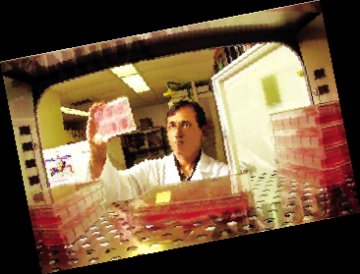 新型！美科学家研制出新禽流感疫苗