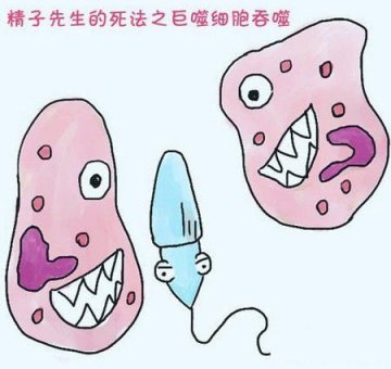 漫画图解精子先生的15种死法