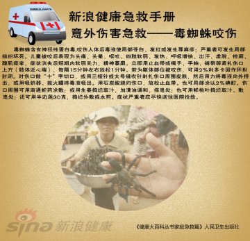 毒蜘蛛咬伤怎么办