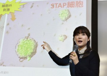 日本干细胞酸化研究纷争不断