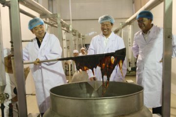 导演郭宝昌体验阿胶炼胶技艺