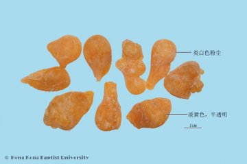 乳香（Ruxiang）中药材鉴别照片