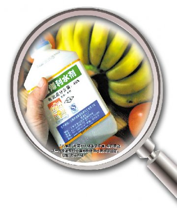 乙烯利催熟香蕉引担忧 专家称不过量对人体无害