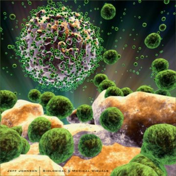 CDC主任：WBG、IMF若不拨钱 埃博拉将成为下一个艾滋病