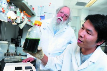 重新编程微生物开启清洁能源大门