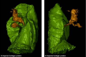 科学家构建4亿年前奇异海洋生物3D模型