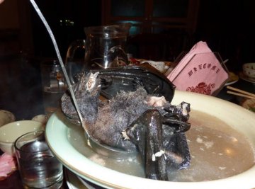 另类美食大盘点 你敢吃吗