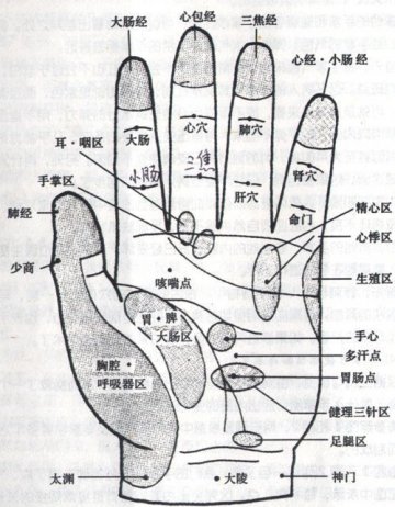手掌穴位图