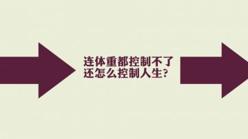 肉肉你走吧~我不爱你了！