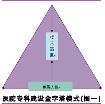 专科建设金字塔