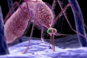 医学3D透视下的人体奇观