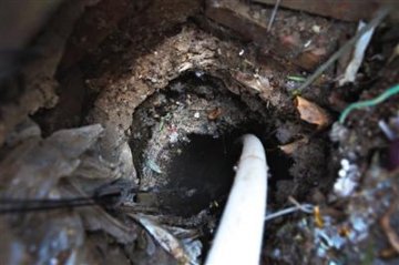 北京假桶装水流入社区 细菌可能超标数百倍