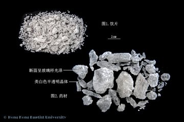 芒硝（Mangxiao）中药材鉴别相册