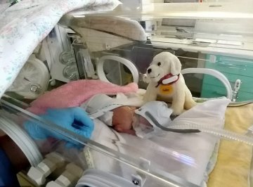 英国女婴早产16周 仍顽强生存