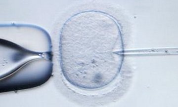 2010十大医学突破