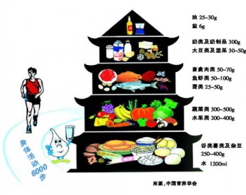 均衡营养 定义成长新形象