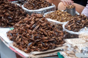 另类美食大盘点 你敢吃吗