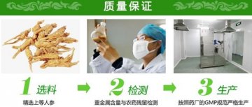 如何科学选服人参？