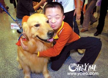 宠物狗培训成医生帮孩子治病