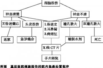 院内急救 有条不紊