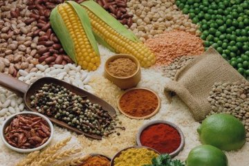 饮食养生：专家揭秘11个最权威防癌秘诀
