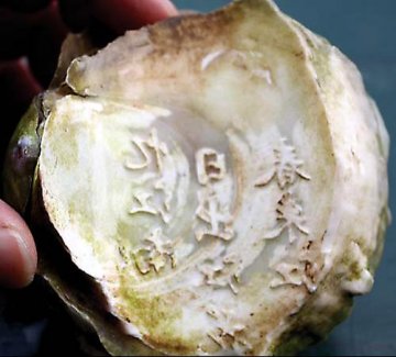 小学校长所拾牡蛎壳上长有唐代诗句