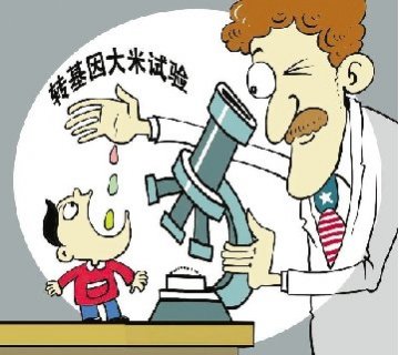 转基因大米不是毒，但是是风险