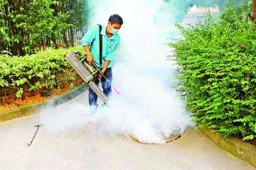 穗现首例登革热灭蚊严防