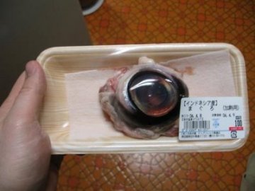 盘点：世界各地的“非主流”食物