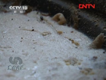 腐败动物内脏炼成新型地沟油