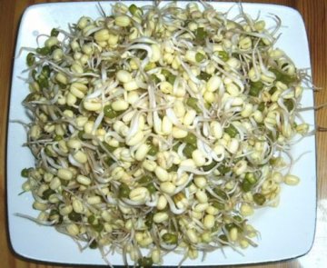 最能吸脂的15种食物 冻豆腐效果最好